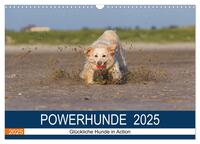 POWERHUNDE 2025 (Wandkalender 2025 DIN A3 quer), CALVENDO Monatskalender