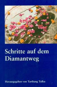 Vorderes Coverbild Schritte auf dem Diamantweg