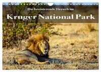 Vorderes Coverbild Faszinierende Tierwelt des Kruger National Parks (Wandkalender 2025 DIN A4 quer), CALVENDO Monatskalender