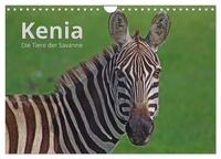 Kenia - Die Tiere der Savanne (Wandkalender 2025 DIN A4 quer), CALVENDO Monatskalender