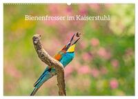 Bienenfresser im Kaiserstuhl (Wandkalender 2025 DIN A2 quer), CALVENDO Monatskalender
