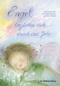 Vorderes Coverbild Engel begleiten dich durch das Jahr