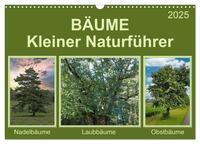 Bäume Kleiner Naturführer (Wandkalender 2025 DIN A3 quer), CALVENDO Monatskalender