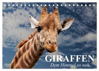 Giraffen. Dem Himmel so nah (Tischkalender 2025 DIN A5 quer), CALVENDO Monatskalender