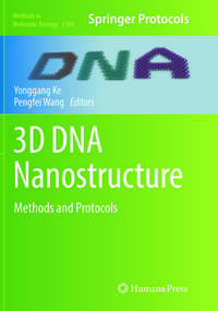 3D DNA Nanostructure