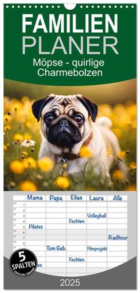 Familienplaner 2025 - Möpse - quirlige Charmebolzen mit 5 Spalten (Wandkalender, 21 x 45 cm) CALVENDO