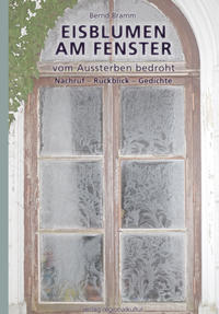Eisblumen am Fenster