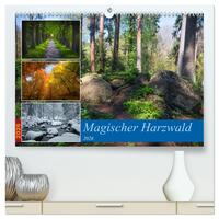 Magischer Harzwald (hochwertiger Premium Wandkalender 2026 DIN A2 quer), Kunstdruck in Hochglanz