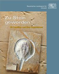 Zu Stein geworden