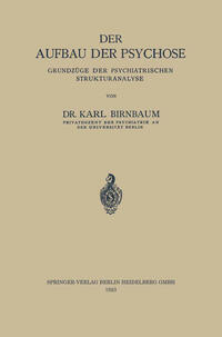 Der Aufbau der Psychose