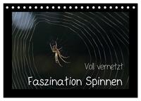 Voll vernetzt - Faszination Spinnen (Tischkalender 2025 DIN A5 quer), CALVENDO Monatskalender
