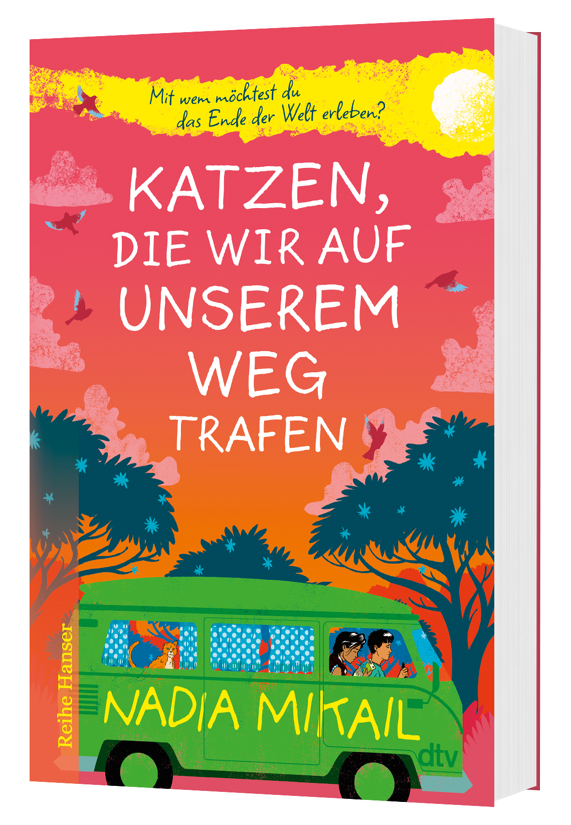Katzen, die wir auf unserem Weg trafen