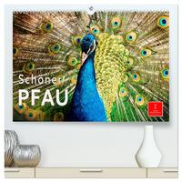 Schöner Pfau (hochwertiger Premium Wandkalender 2025 DIN A2 quer), Kunstdruck in Hochglanz