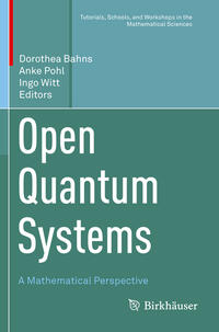 Open Quantum Systems