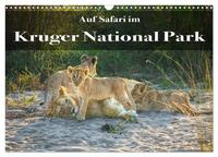 Vorderes Coverbild Auf Safari im Kruger National Park (Wandkalender 2025 DIN A3 quer), CALVENDO Monatskalender