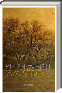 Am Strom