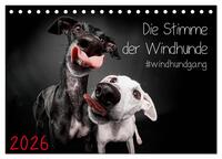 Die Stimme der Windhunde (Tischkalender 2026 DIN A5 quer), CALVENDO Monatskalender