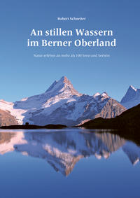 Vorderes Coverbild An stillen Wassern im Berner Oberland