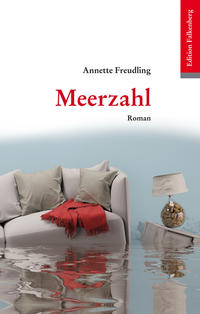 Vorderes Coverbild Meerzahl