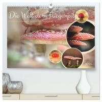 Die Welt der Fliegenpilze (hochwertiger Premium Wandkalender 2025 DIN A2 quer), Kunstdruck in Hochglanz