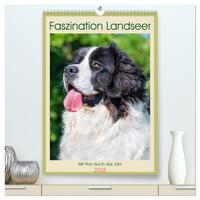 Faszination Landseer - Mit Plan durch das Jahr (hochwertiger Premium Wandkalender 2025 DIN A2 hoch), Kunstdruck in Hochglanz