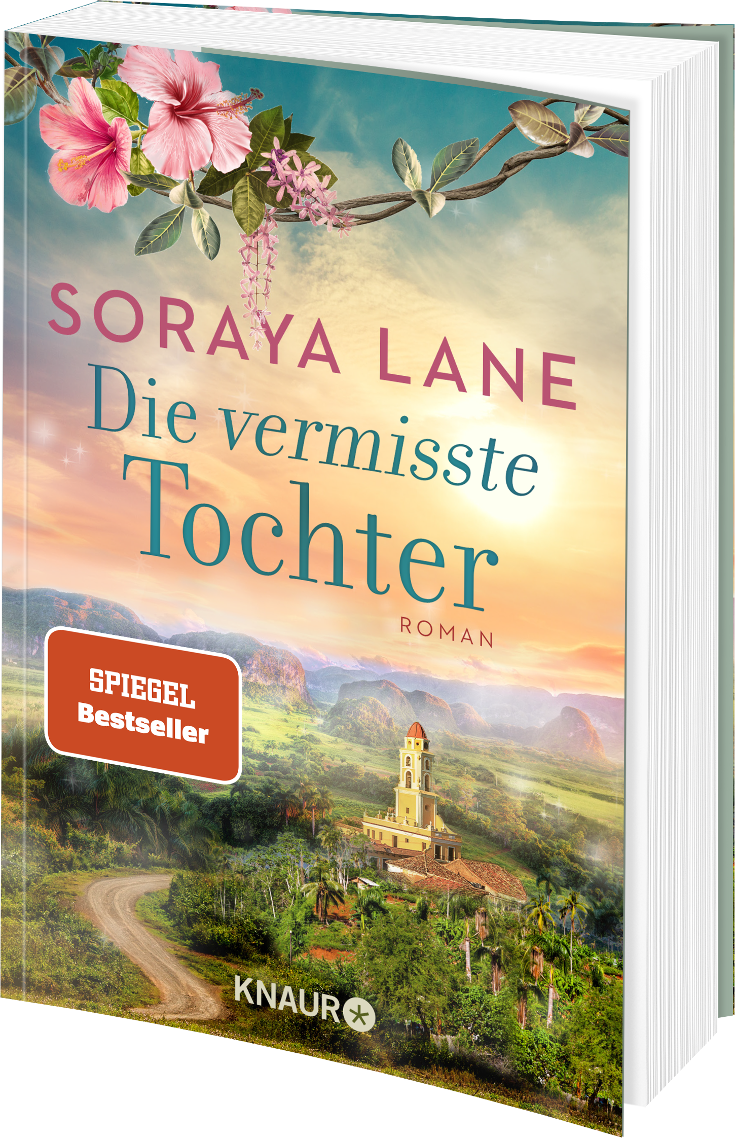 Die vermisste Tochter