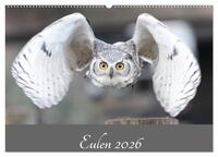 Eulen 2026 (Wandkalender 2026 DIN A2 quer), CALVENDO Monatskalender