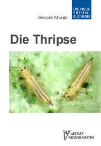 Vorderes Coverbild Thripse – Fransenflügler, Thysanoptera