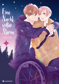 Eine Nacht voller Sterne – Band 2 (Finale)